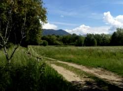 Pierre Ley, video