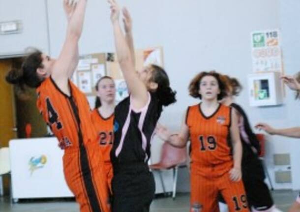 Bulldog Basket Canegrate: Under 14 imbattute nella Silver2
