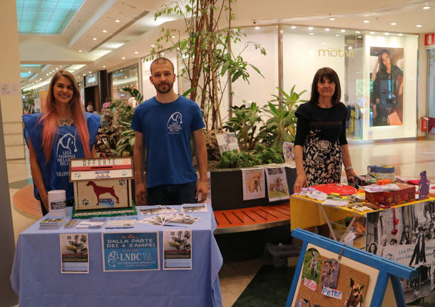 Una festa "bau" per il primo compleanno di Pet Food