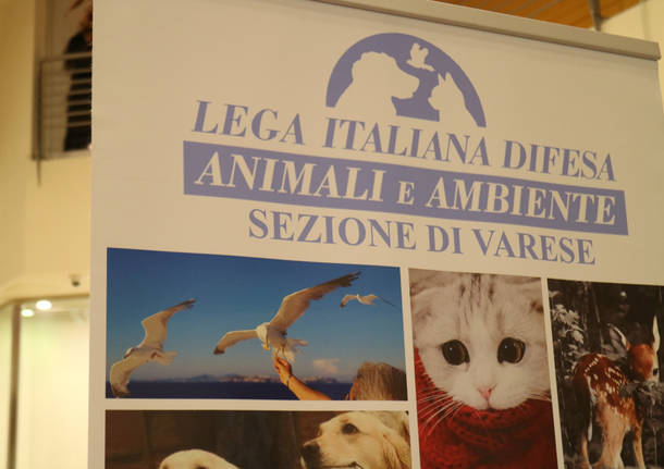 Una festa "bau" per il primo compleanno di Pet Food