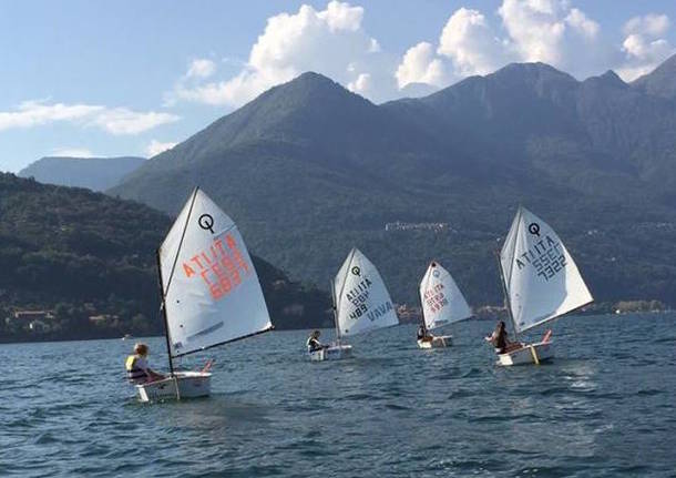 vela avav classe optimist