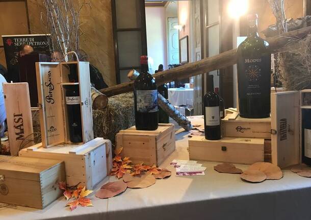 Vini in Villa