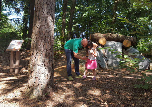 La nuova app gioco del Parco Pineta