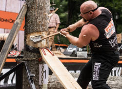 Timbersports