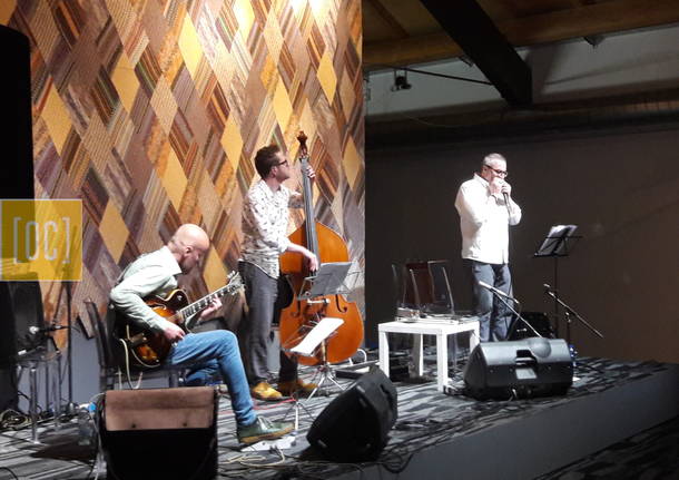 Max De aloe porta il suo “Baltic Trio” al Maga.            Il Jazzista gallaratese presenta al museo Maga il suo nuovo album “Valo”: una fusione di jazz e atmosfere nordiche.