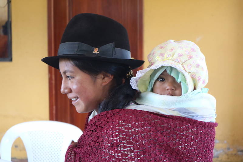 Apahua sulle Ande in Ecuador