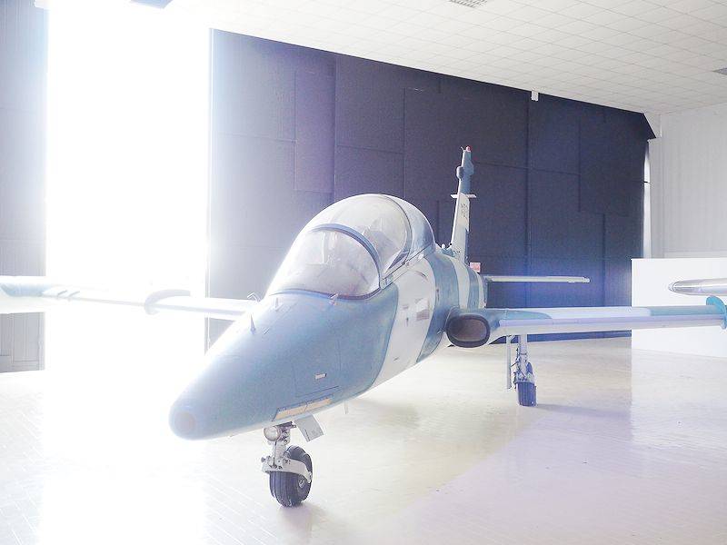 Festa del modellismo a Volandia