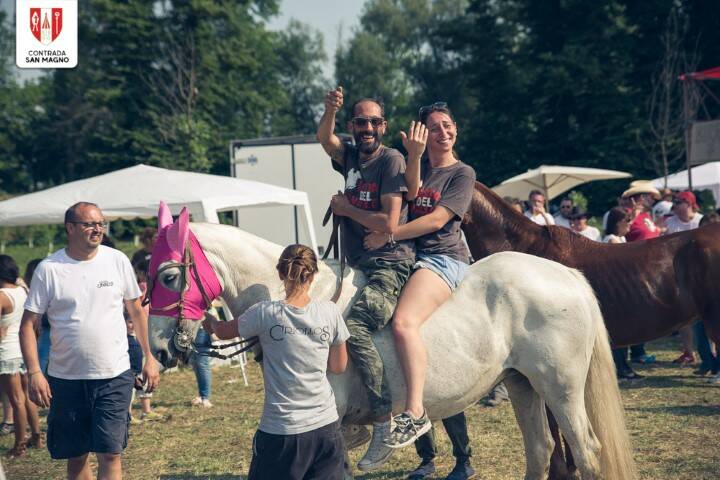 FESTA CAVALLO 122