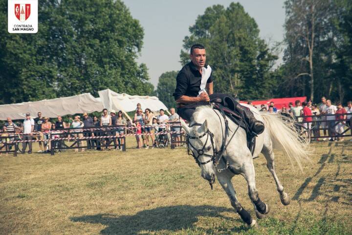 FESTA CAVALLO 138