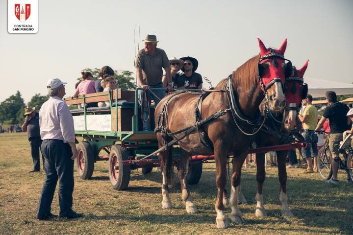 FESTA CAVALLO 154