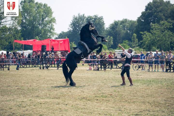 FESTA CAVALLO 77