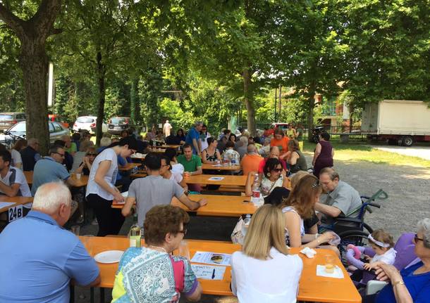 Festa del pesce a Calcinate del Pesce