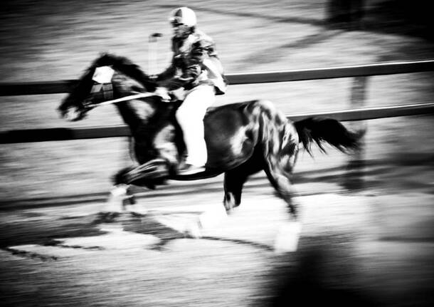 Palio: le immagini di Andrea Fuso