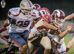 hogs reggio emilia blue storms busto football americano