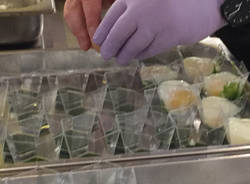 I finger food 2017 di Massimiliano Celeste