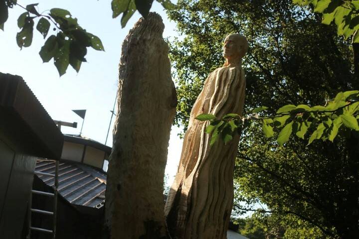 IMG 0379