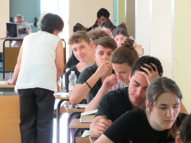 IMG 3729