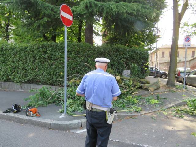 IMG 3766