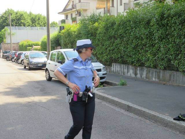IMG 3768