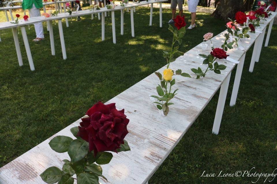 Induno Olona - Festa delle Rose 2017