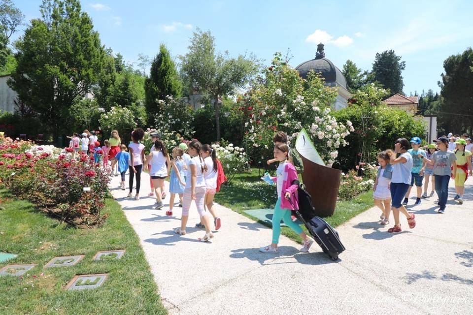 Induno Olona - Festa delle Rose 2017