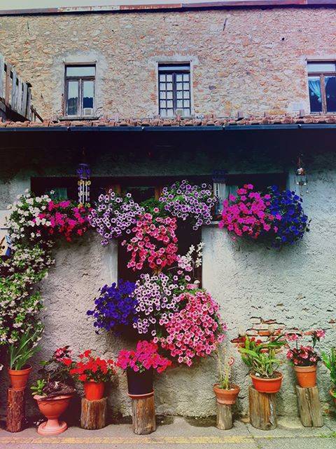 La casa dei fiori a Ganna