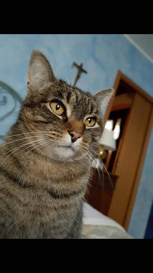 Milly
