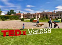 tedxvarese