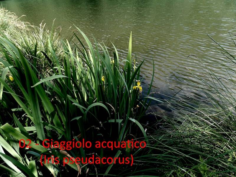 Teresio Colombo reportage Vellone