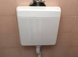 Vedano Olona - Degrado alla palestra di via Bixio