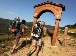 Via Francigena