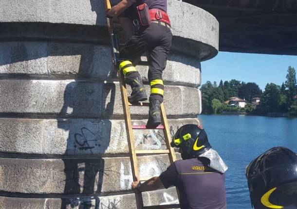 Vigili del fuoco varie