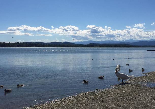 0tour varese4U - Isolino virginia 2° giorno