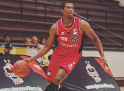 cameron wells basket