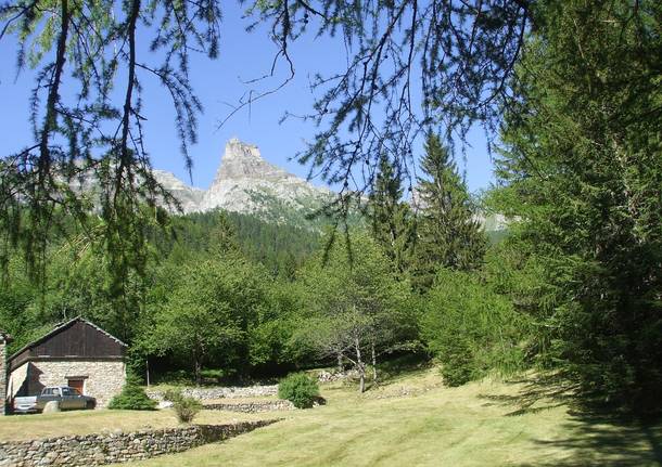 Dal Bosco delle Fate