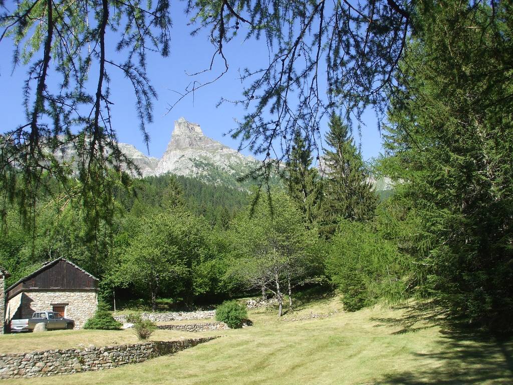 Dal Bosco delle Fate