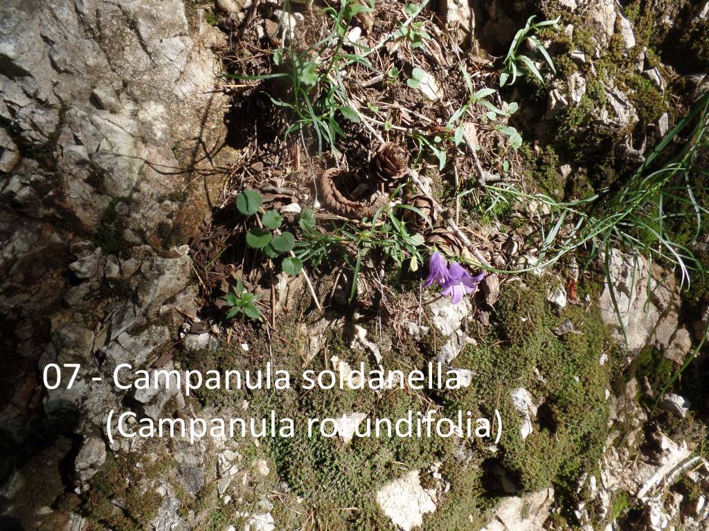 Le escursioni di Teresio: Villaggio Cagnola