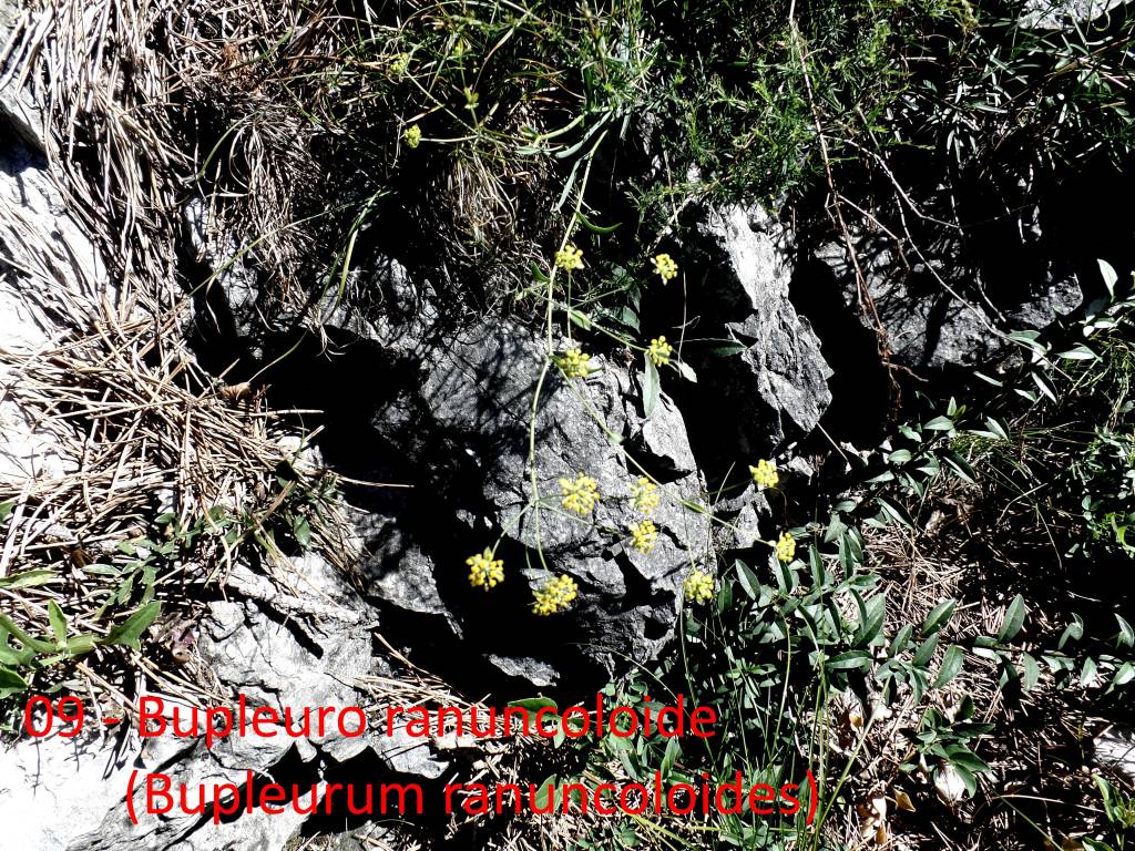 Le escursioni di Teresio: Villaggio Cagnola