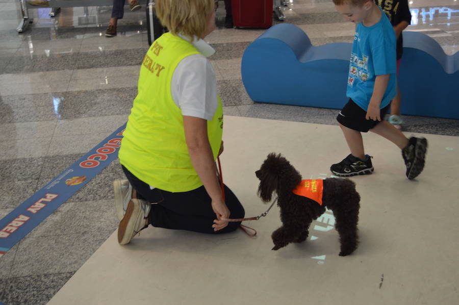 Pet therapy a Malpensa