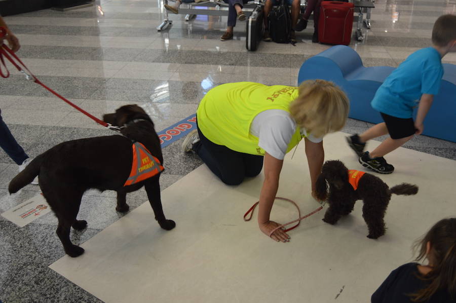 Pet therapy a Malpensa
