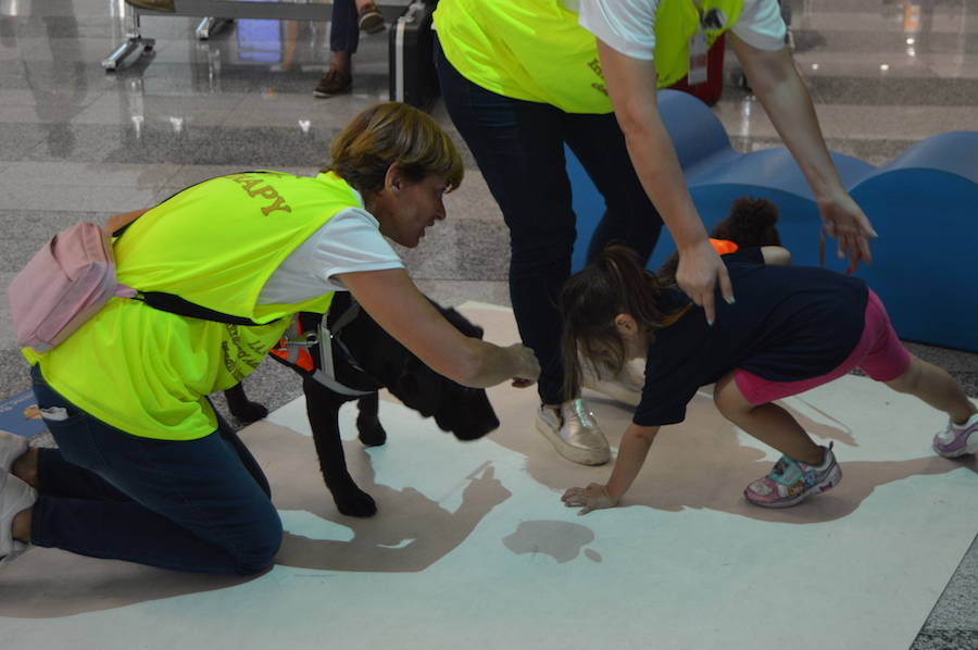 Pet therapy a Malpensa