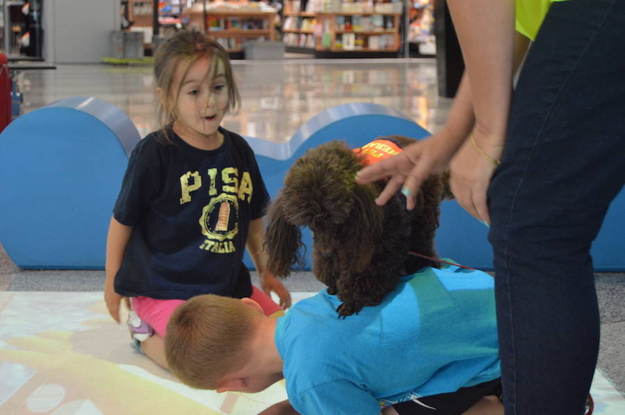 Pet therapy a Malpensa