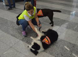 Pet therapy a Malpensa