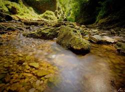 Acqua e natura, le bellezze del Varesotto