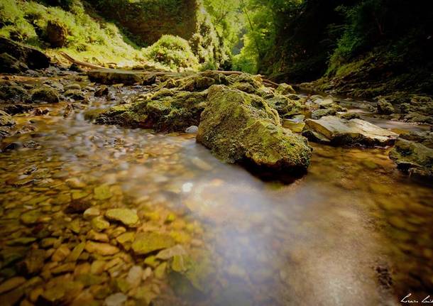 Acqua e natura, le bellezze del Varesotto