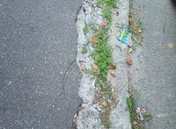 degrado in via oldofredi a masnago