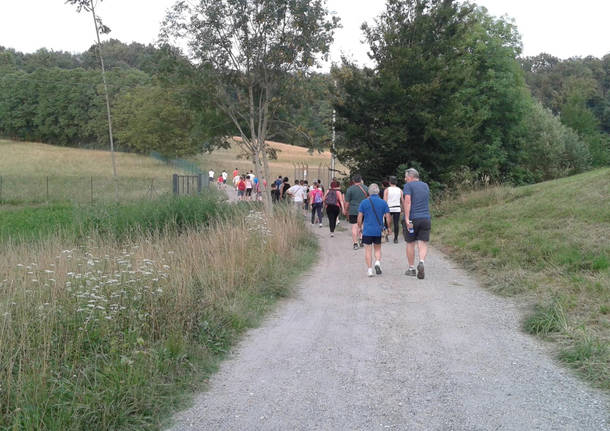 Gruppi di cammino a Besozzo
