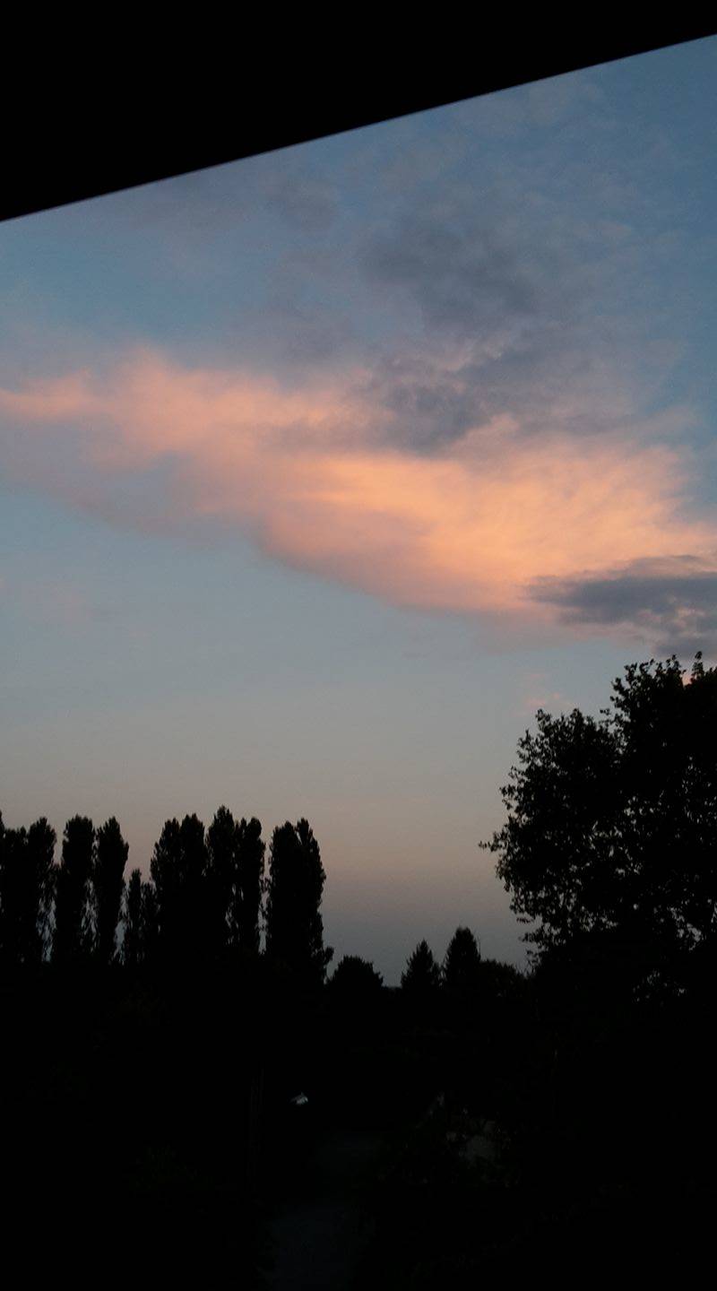 Il tramonto dei lettori 