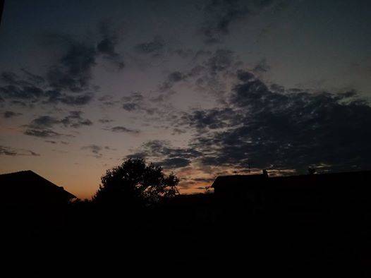 Il tramonto dei lettori 