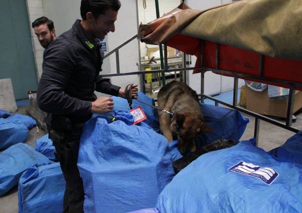 L’area Cargo di Malpensa al setaccio della Guardia di Finanza